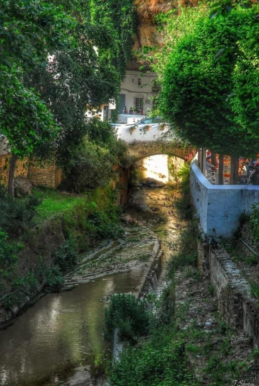 Setenil De Las BodegasCasa Cueva Un Rincon En La Roca别墅 外观 照片